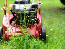 Rasen und Rasenmäher